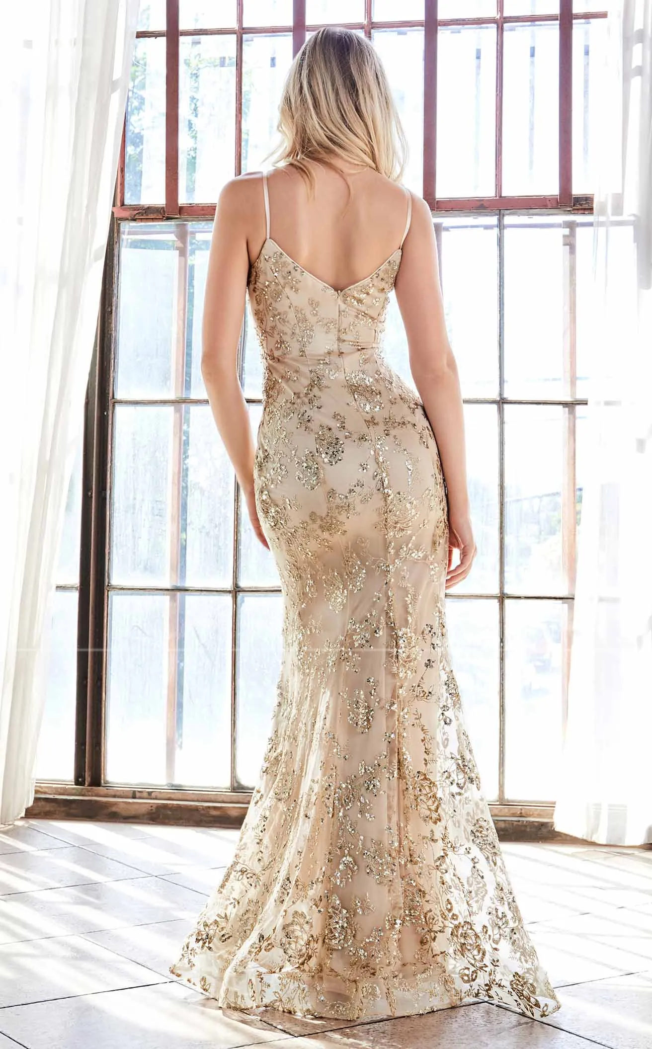 Cinderella Divine R2901 Dress